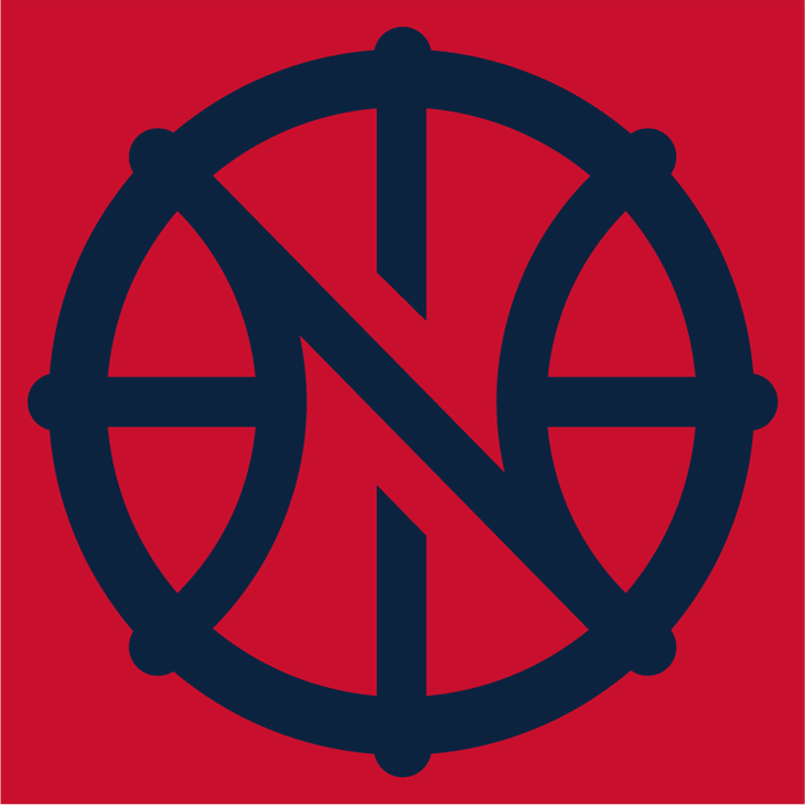New Orleans Pelicans 2013-Pres Alternate Logo DIY iron on transfer (heat transfer)